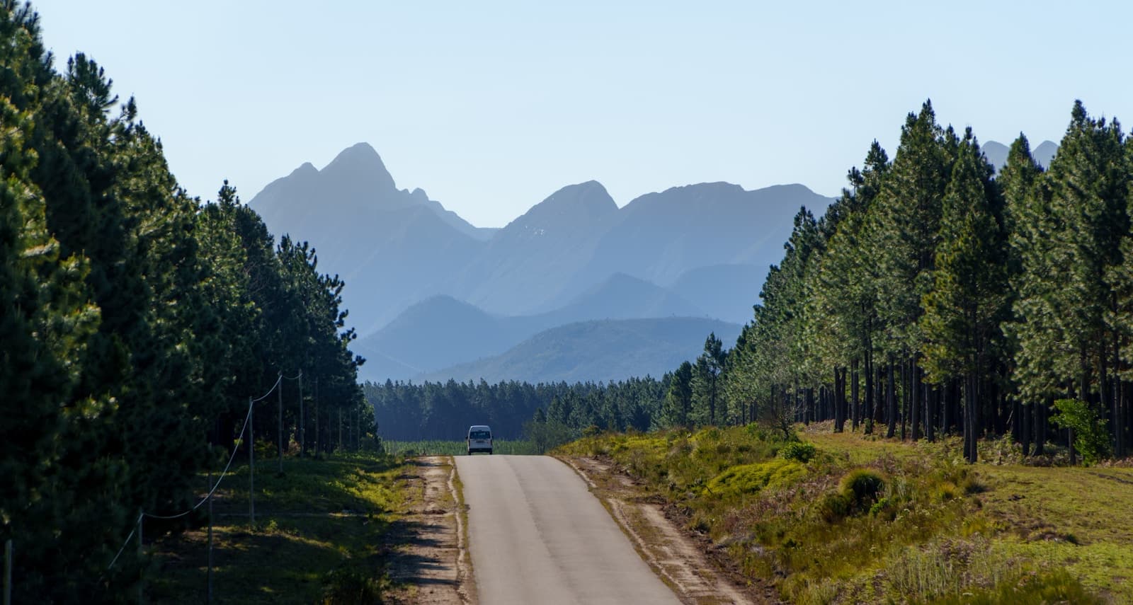 Straight road running toward distant mountains between dense evergreen forests