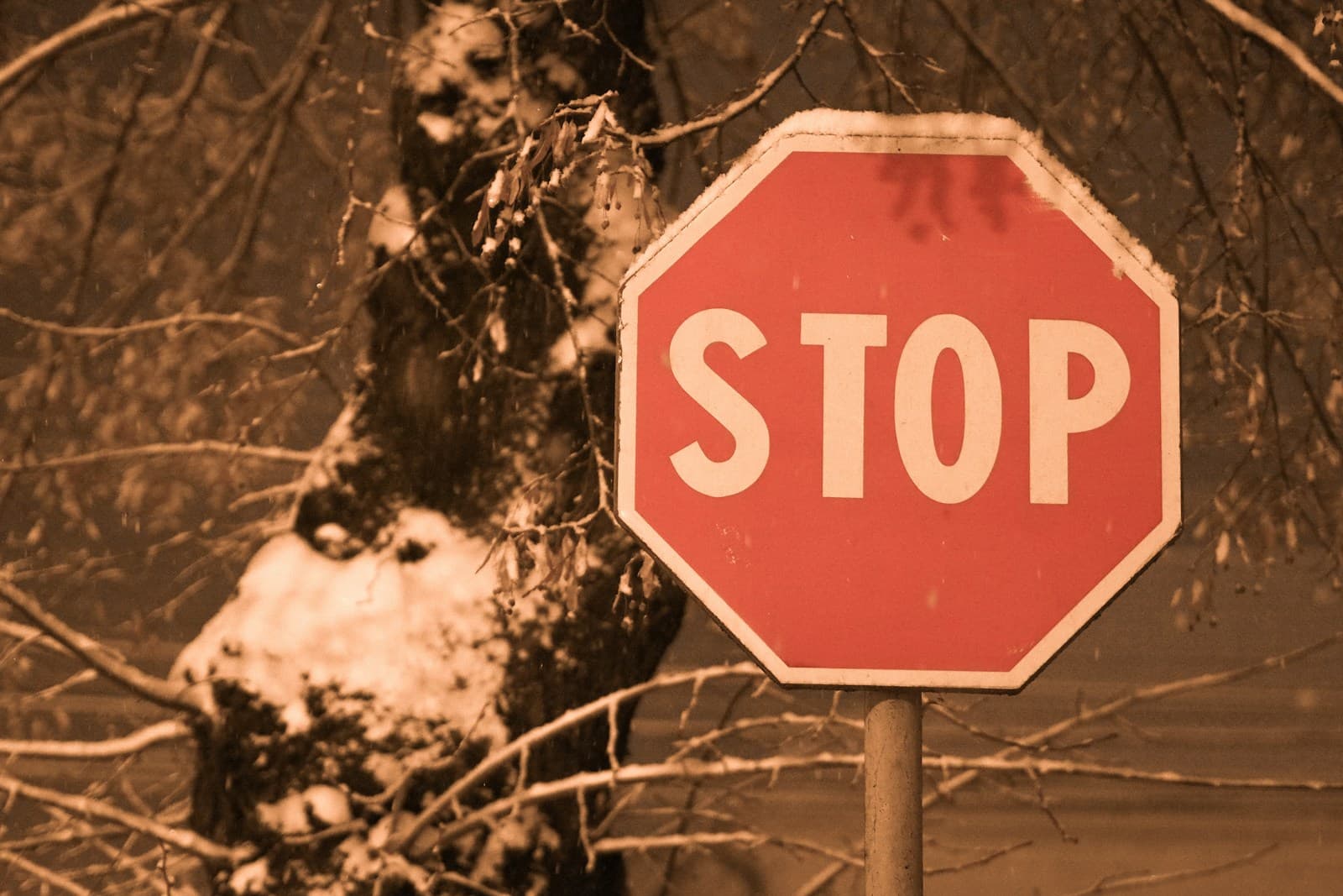 Red STOP sign with bare winter tree branches in background, sepia-toned vintage style photograph